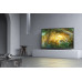 LED TV 49" SONY KD49XH8077SAEP